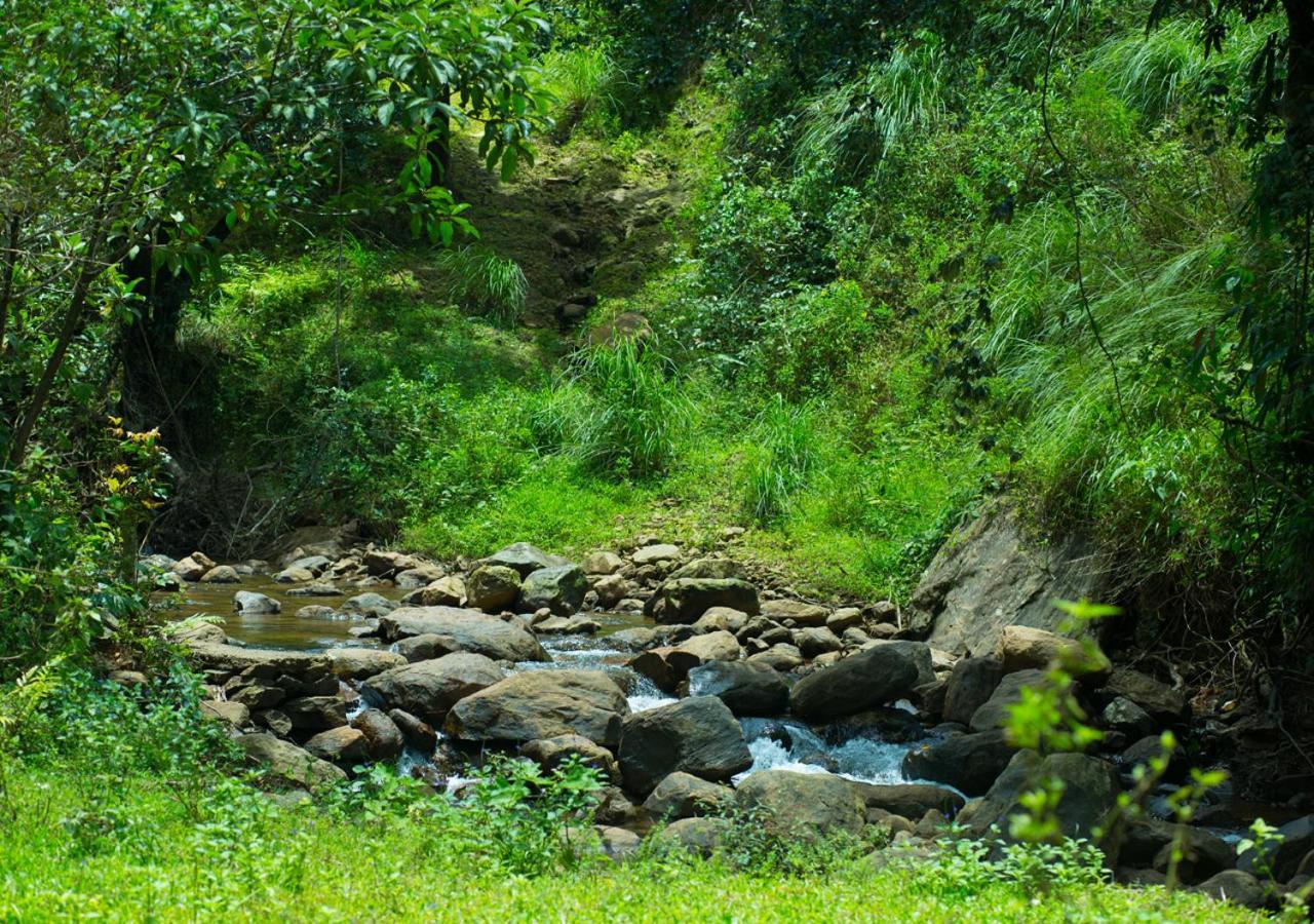 Hidden Valley Hill View Cottage Vagamon By Voye Homes Buitenkant foto